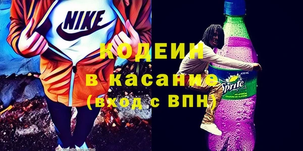 индика Нефтегорск