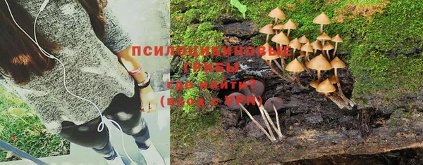 метадон Новозыбков