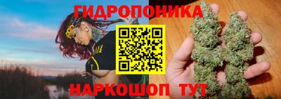 амф Гусев