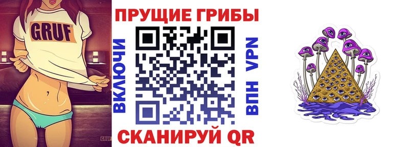 Псилоцибиновые грибы Psilocybine cubensis магазин Павловский Посад