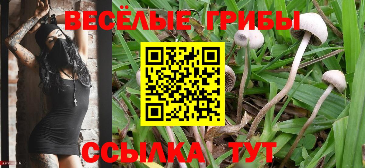 Псилоцибиновые грибы мицелий  Галлюциногенные грибы MAGIC MUSHROOMS  Павловский Посад  Вход с VPN 