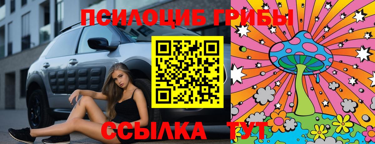 Галлюциногенные грибы Magic Shrooms  наркошоп  Павловский Посад 